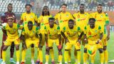 Les Guépards du Bénin