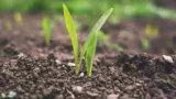 Sante des sols @ SAMU de l'environnement