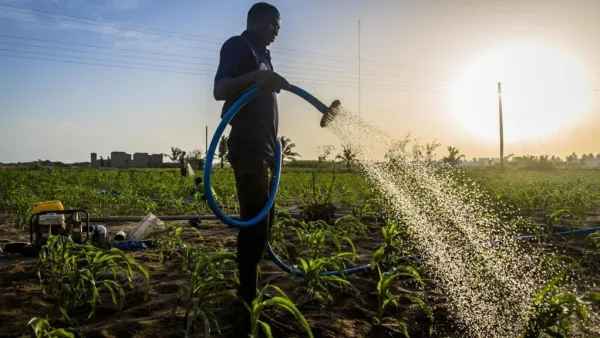 Le Ghana souhaite industrialiser son agriculture avec l'aide de la Chine