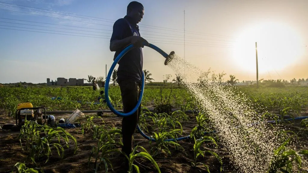 Le Ghana souhaite industrialiser son agriculture avec l'aide de la Chine