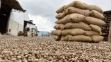 Création de l’ABIPEX, une super-agence pour attirer les investissements et booster les exportations