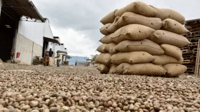Création de l’ABIPEX, une super-agence pour attirer les investissements et booster les exportations