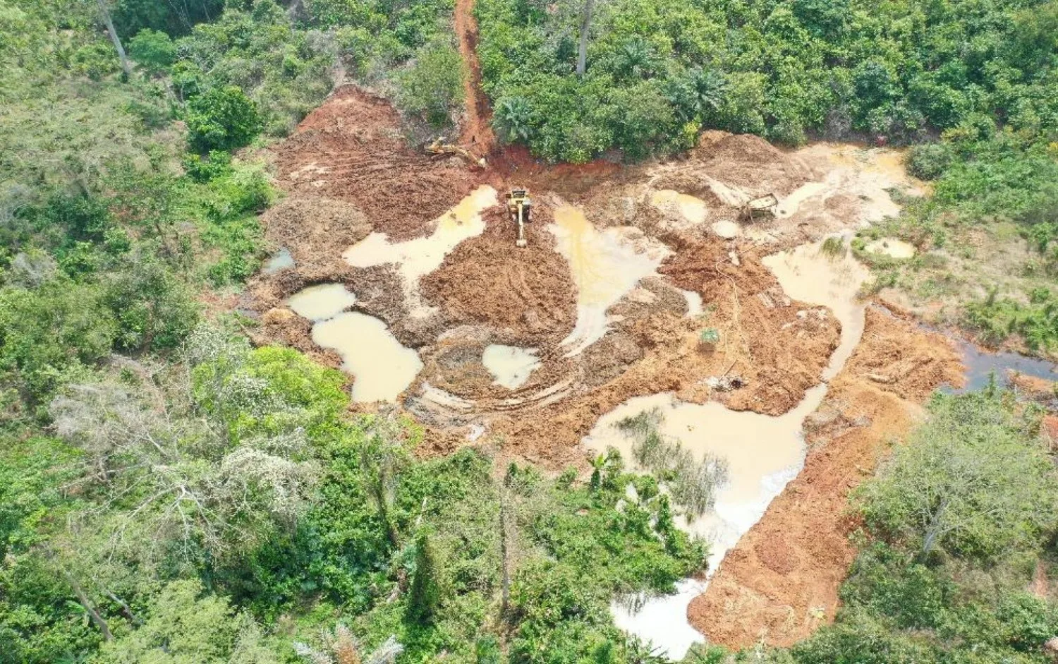 Orpaillage clandestin en Côte d'Ivoire