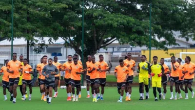 Les Éléphants de Côte d'Ivoire