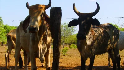 Paysage agricole à Nicoya, dans la province de Guanacaste au Costa Rica