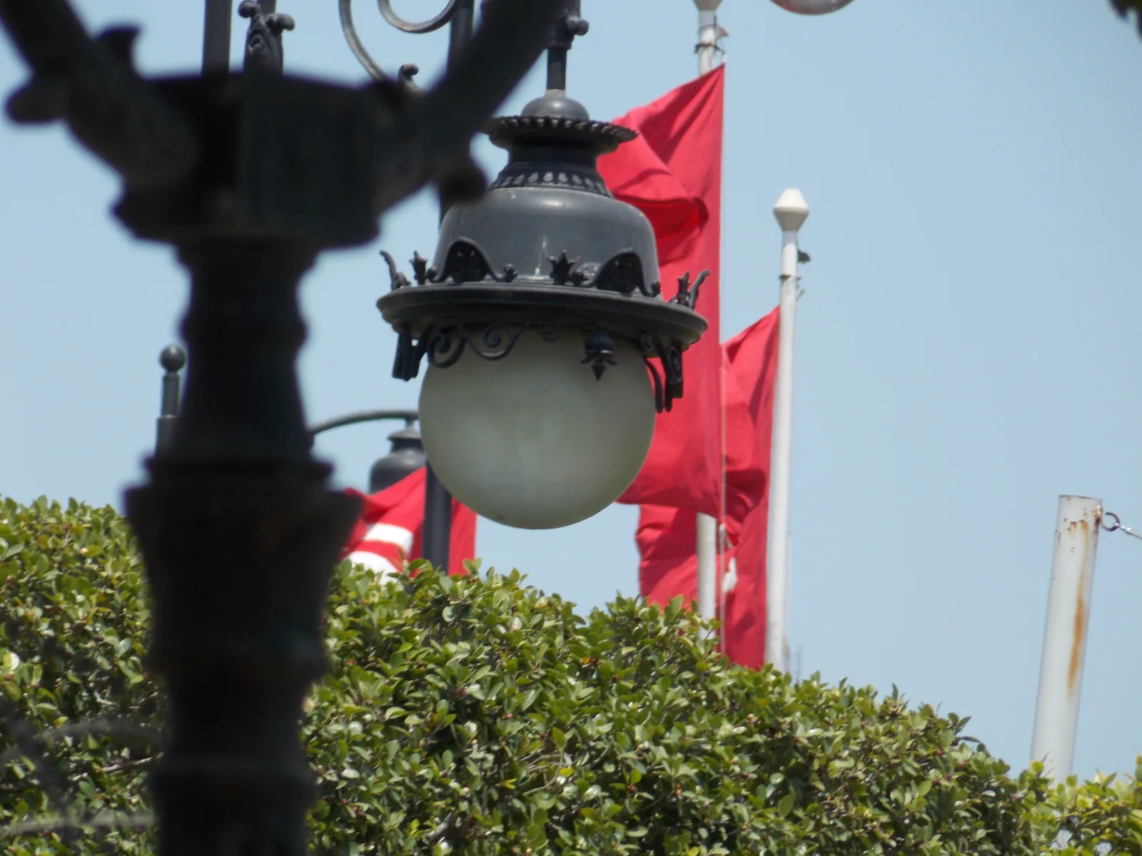 Vue de l'avenue Habib Bourguiba dans le centre-ville de Tunis, capitale de la Tunisie