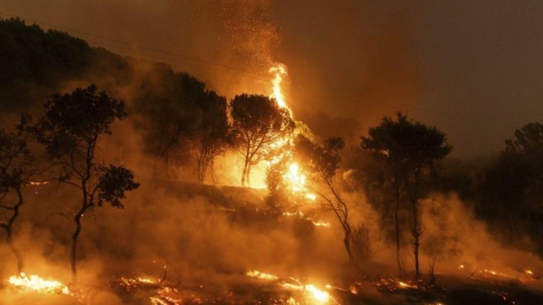 ⁣États-Unis :incendie dévastateur à Los Angeles, au moins 5 morts et des dégâts matériels