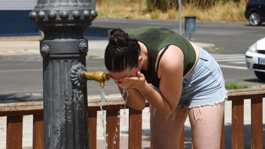 Canicule
