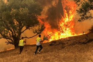 Ce mercredi 17 août, un dernier bilan des autorités algériennes faisait état d'au moins 38 morts et plusieurs dizaines de blessés dans des incendies touchant le nord du pays.