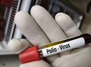 Le virus de la poliomyélite