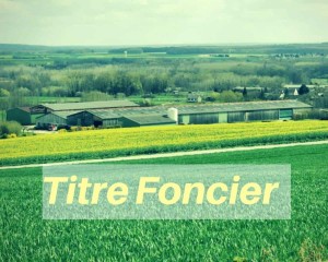 Titre foncier