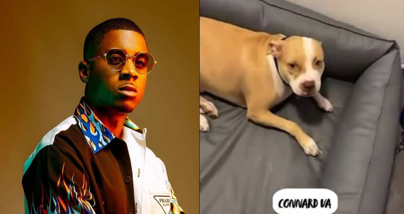 Timal tabasse son chien