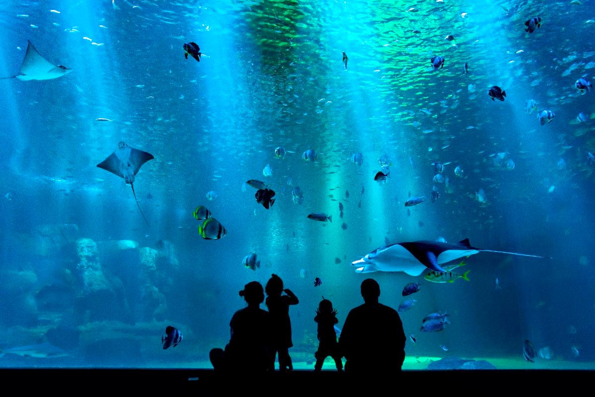 À Berlin, explosion du plus grand aquarium cylindrique au monde