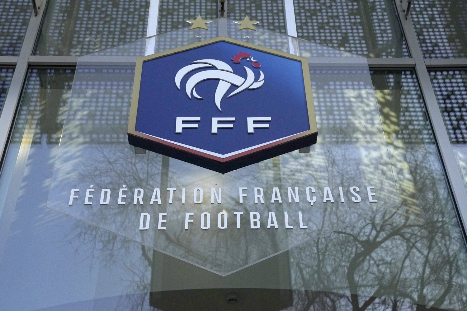 le Logo de la FFF