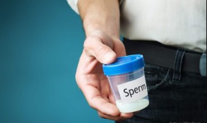 Aux Pays-Bas, la justice condamne le « Superdonneur » Ã  ne plus donner son sperme