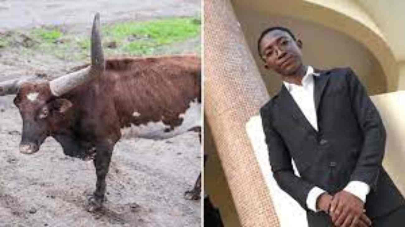 Dr Chabi Donald, le jeune docteur tué par un bœuf en Côte d'Ivoire