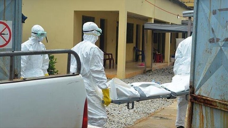 Togo: alerte sanitaire, 08 cas de dengue déclarés Togo: alerte sanitaire, 08 cas de dengue déclarés