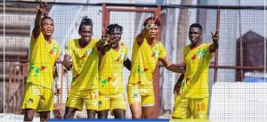 Des Guépards juniors