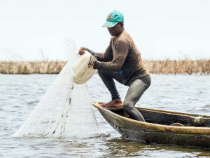Pêche Lac Nangbéto
