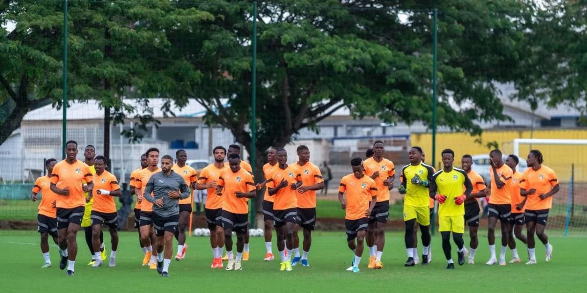 Les Éléphants de Côte d'Ivoire