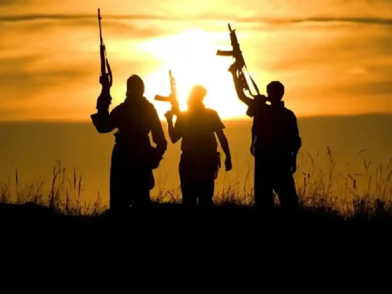 Algérie : une série d’opérations réussies contre le terrorisme et la criminalité organisée