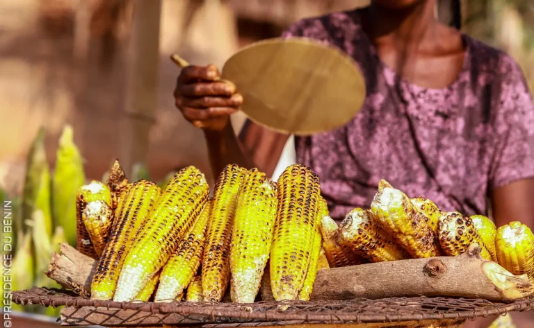 BéninÂ : le prix du maà¯s tombe à  moins de 150 FCFA/Kg par endroits