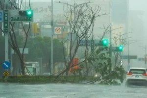 Près de Kaohsiung (TaÃ¯wan) ce jeudi. Cette zone a été frappée par les vents les plus puissants du typhon. AFP_Walid Berrazeg