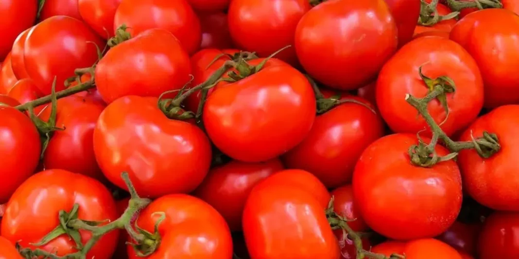 Les tomates