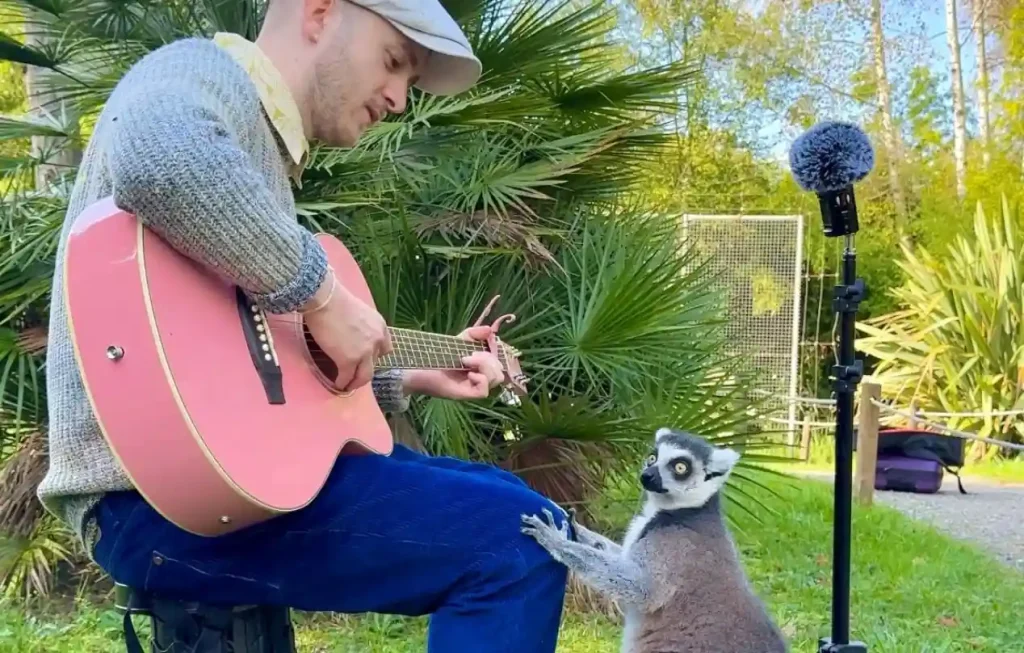Plumes- le chanteur qui murmure aux oreilles des animaux en tournée dans les parcs animaliers - Plumes