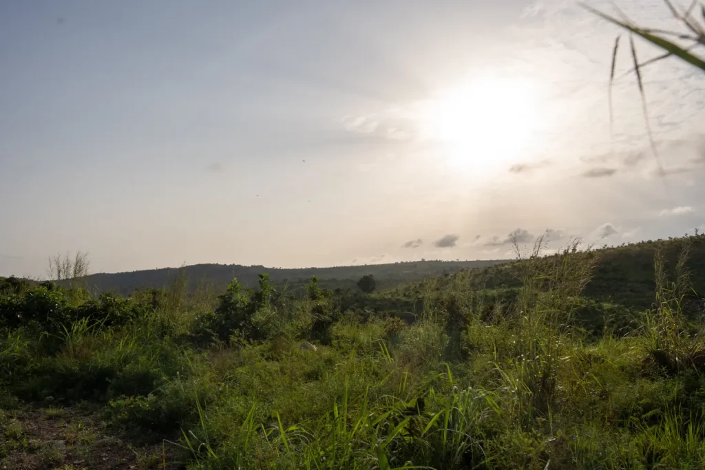 Paysage de Natitingou