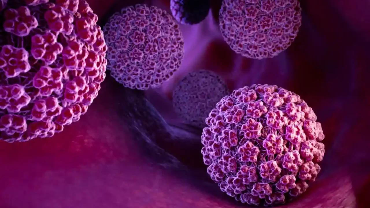 Virus du Papillome Humain (HPV)