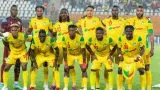 Les Guépards du Bénin