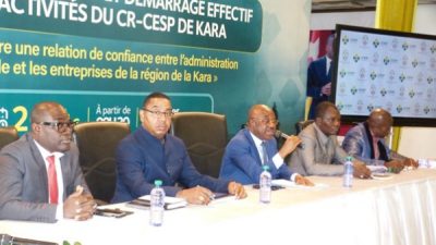 Togo : le Comit&eacute; de concertation &Eacute;tat-secteur priv&eacute; mise sur la confiance entre l&rsquo;administration fiscale et les entreprises