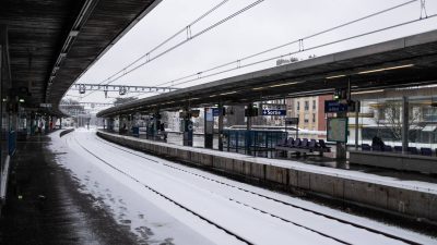 Suicide de Camélia : victime de harcèlement scolaire, une adolescente de 17 ans se tue en descendant sur les rails du RER