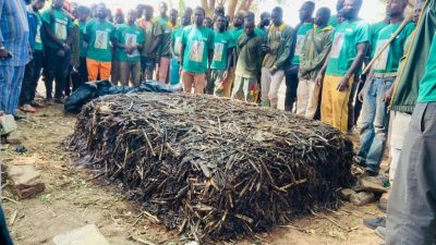 Initiative présidentielle pour la production agricole et l’autosuffisance alimentaire (IP-P3A)