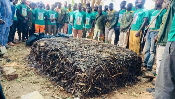 Initiative présidentielle pour la production agricole et l’autosuffisance alimentaire (IP-P3A)