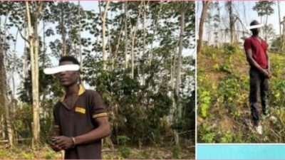 Côte d'Ivoire : Trois individus pris en flagrant délit de destruction d'une forêt classée