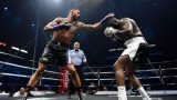 Ferdinand Ilunga, président de la fédération congolaise de boxe: «Bakole et Yoka, sont d'accord pour s'affronter» à Kinshasa