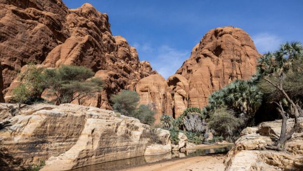 Tchad: le Français disparu dans la zone d’Amdjarass a été retrouvé mort