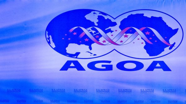 Les États-Unis réactivent pour un an l'Agoa, l'accord économique sur les exportations africaines