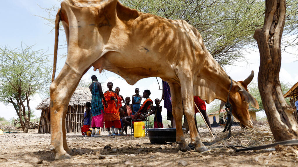 Le Kenya fait face à sa pire sécheresse depuis 1981