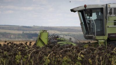 Six États à surveiller pour l'équilibre agricole et alimentaire mondial - Chronique des matières premières
