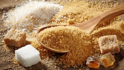 120 000 tonnes de sucre attendues pour la saison 2025-2026 couvrant le 1/