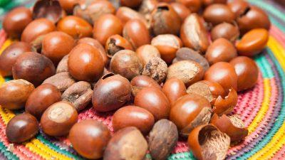 Le Ghana lance un projet de pôle industriel pour la transformation du karité