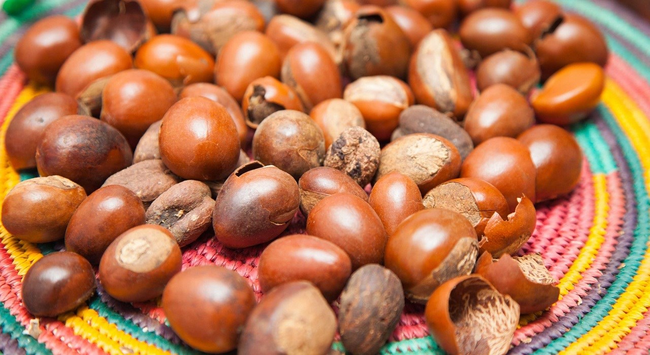 Le Ghana lance un projet de pôle industriel pour la transformation du karité