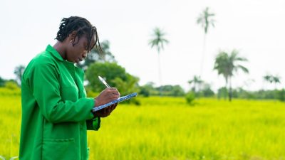 La BERD injecte 70 millions d’euros dans l’agriculture en Côte d’Ivoire et au Ni