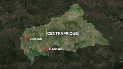 Ouest de la Centrafrique: avec la saison de la transhumance, tensions entre agriculteurs et éleveurs ressurgissent