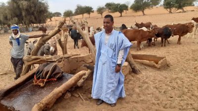 Sahel: «L'insécurité dans la zone transfrontalière freine la mobilité pastorale»