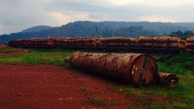 Crise de la dette africaine: «Pour briser le cycle, il faut investir» - Afrique économie