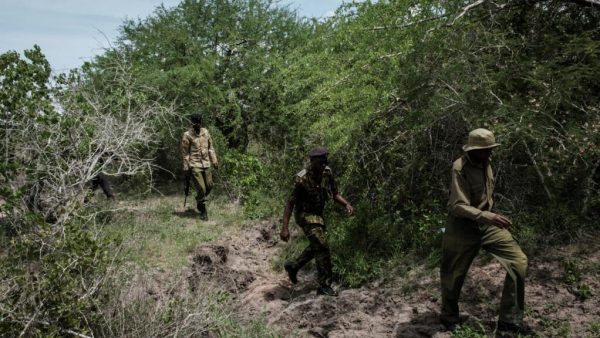 Kenya: l'enquête se développe après la découverte d'une mystérieuse fosse commune